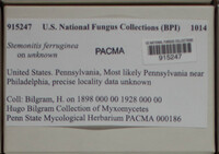 Image Associated With the Occurence